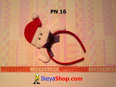 PN 16  large2